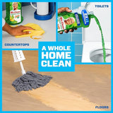 Mr. Clean 2X Concentrated Cleaner